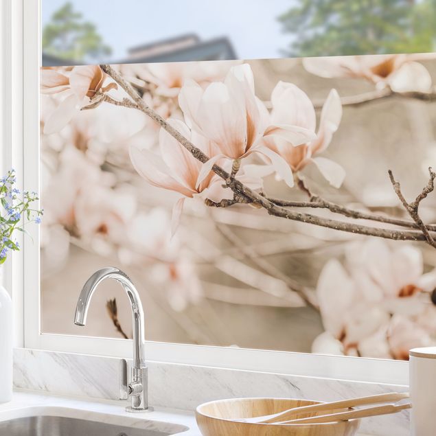 Fensterbilder Frühling Magnolienzweige im Vintagestil
