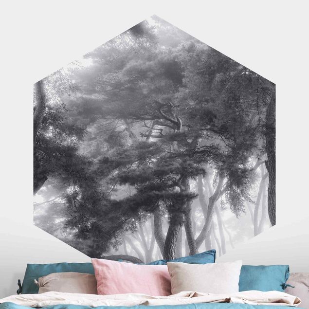 Fototapete Nebelwald Majestätische Bäume in Schwarz-weiß
