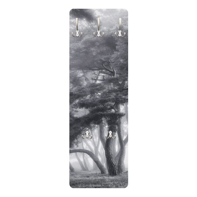 Wandgarderobe - Majestätische Bäume in Schwarz-weiß
