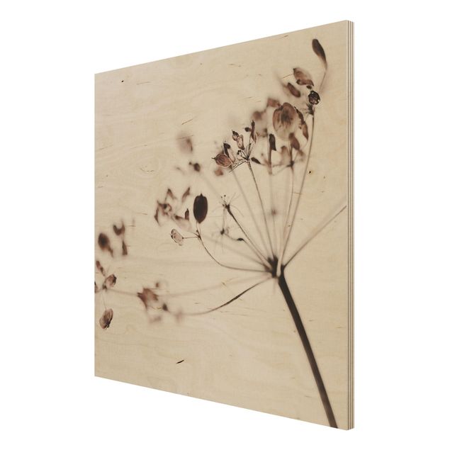 Holzbild - Makroaufnahme Trockenblume im Schatten - Quadrat