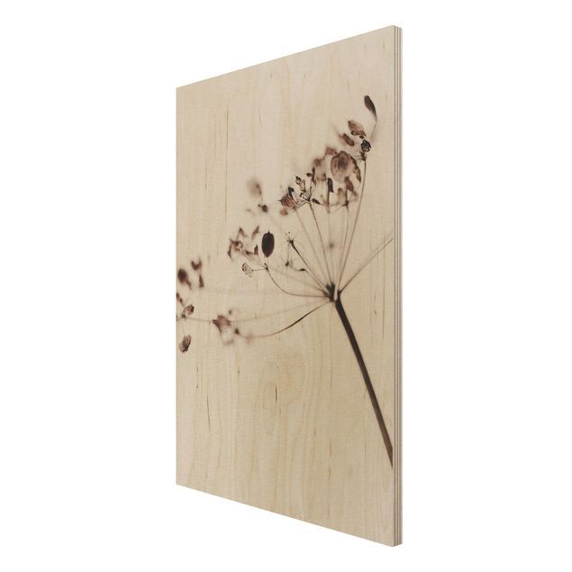 Holzbild - Makroaufnahme Trockenblume im Schatten - Hochformat