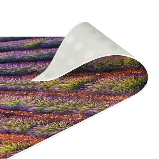 Teppich violett Malerisches Lavendelfeld