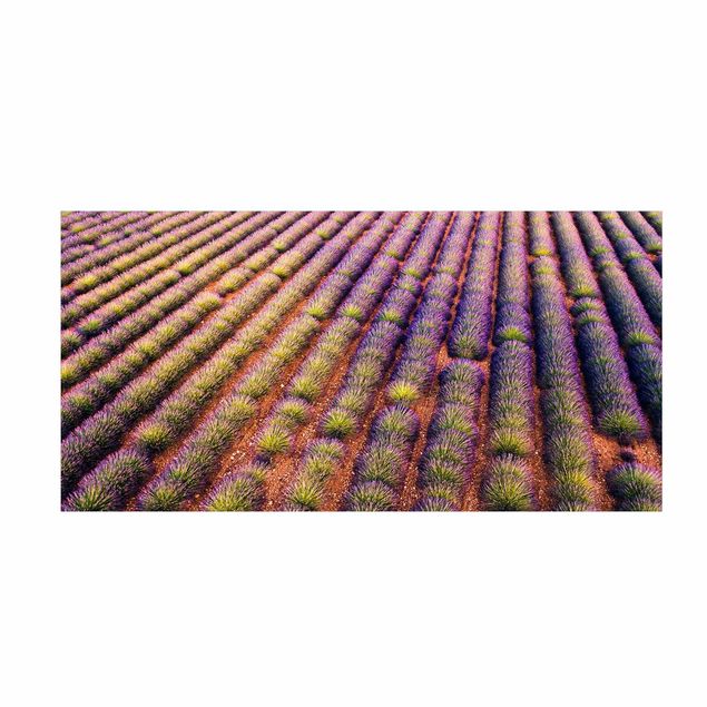 Große Teppiche Malerisches Lavendelfeld