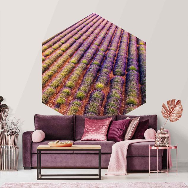 Hexagon Tapete Malerisches Lavendelfeld