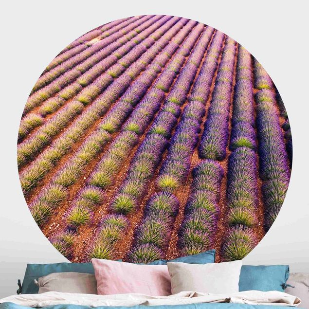 Fototapete rund Malerisches Lavendelfeld