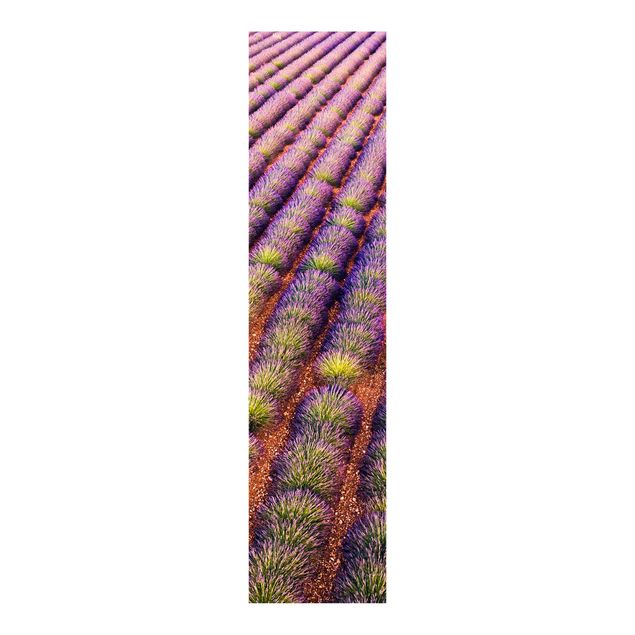 Schiebegardinen Schiene 3-läufig Malerisches Lavendelfeld