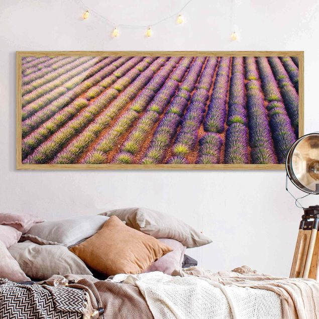 Bilder für die Wand Malerisches Lavendelfeld