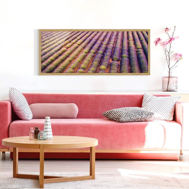 Wandbilder mit Rahmen Malerisches Lavendelfeld