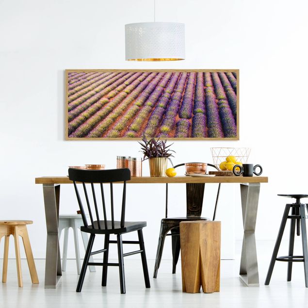 Bild mit Rahmen - Malerisches Lavendelfeld - Panorama 3:1