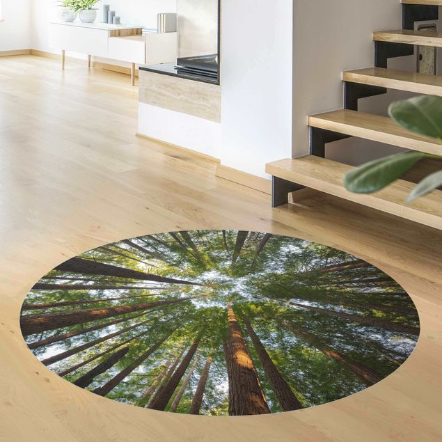 Moderne Teppiche Mammutbaum Baumkronen