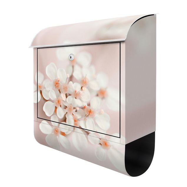 Designer Briefkasten Miniblüten im Rosanen Licht