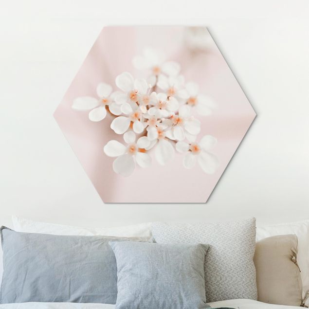 Wandbilder Miniblüten im Rosanen Licht