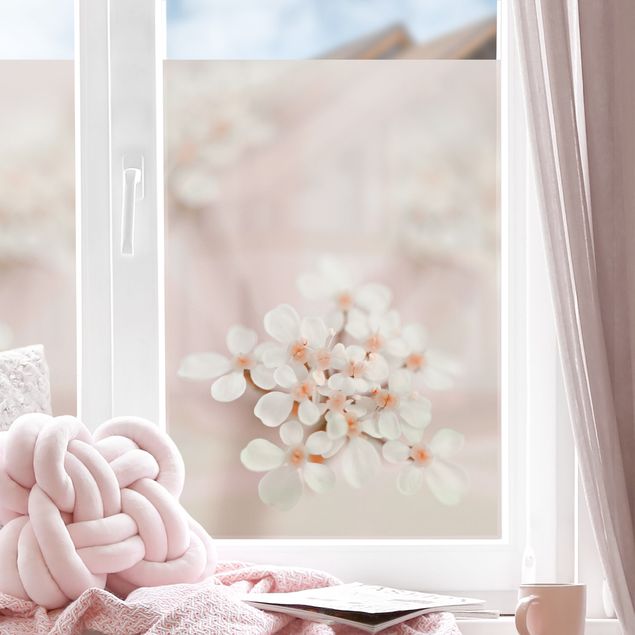 Fensterbilder selbstklebend Blumen Miniblüten im Rosanen Licht