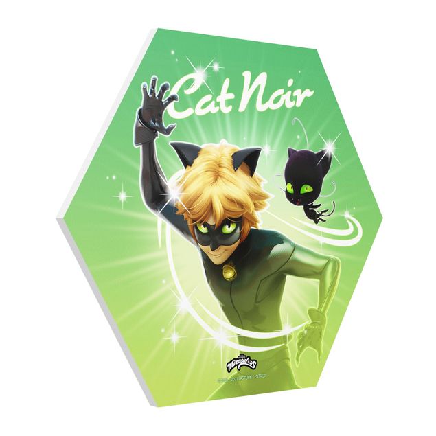 Hexagon Bilder Miraculous Cat Noir und Plagg