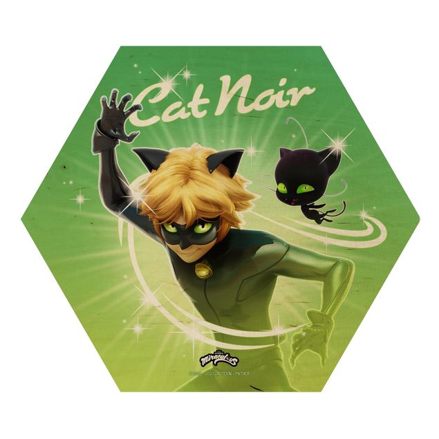 Hexagon-Holzbild - Miraculous Cat Noir und Plagg