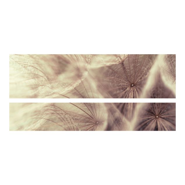 Klebefolie Malm Bett Detailreiche Pusteblumen Makroaufnahme mit Vintage Blur Effekt