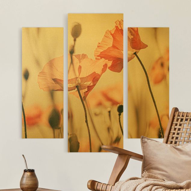 Leinwandbilder Wohnzimmer modern Mohnblüten im Sommerwind