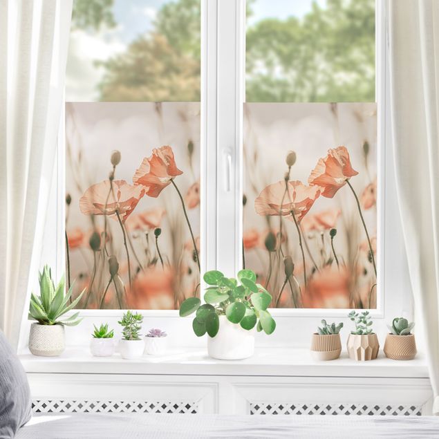 Fensterbilder XXL Mohnblüten im Sommerwind