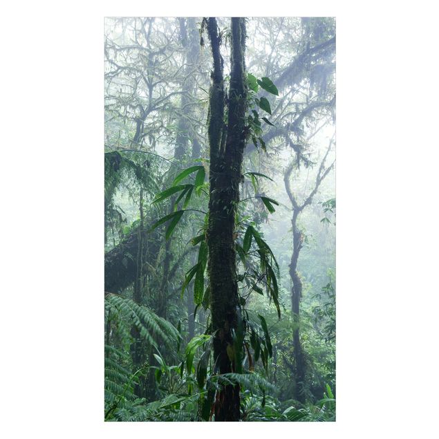 Duschrückwände Monteverde Nebelwald