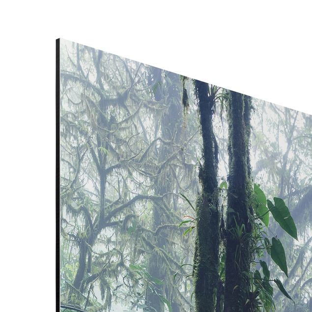 Duschrückwand - Monteverde Nebelwald