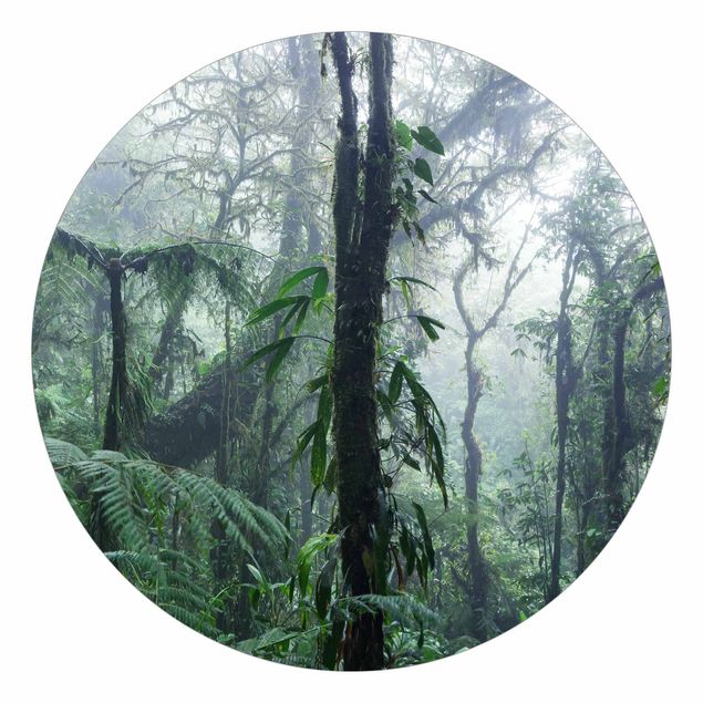 Fototapete Landschaft Monteverde Nebelwald