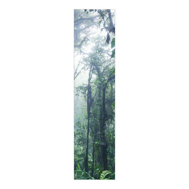 Schiebegardinen 3er Set Monteverde Nebelwald