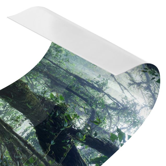 Küchenrückwände selbstklebend Monteverde Nebelwald