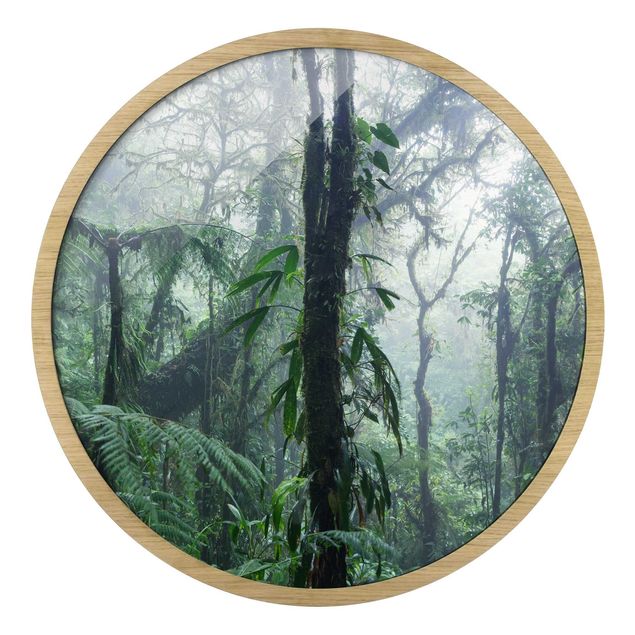 Wandbilder mit Rahmen Monteverde Nebelwald