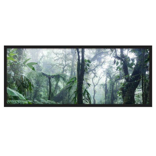 Bild mit Rahmen - Monteverde Nebelwald - Panorama 3:1