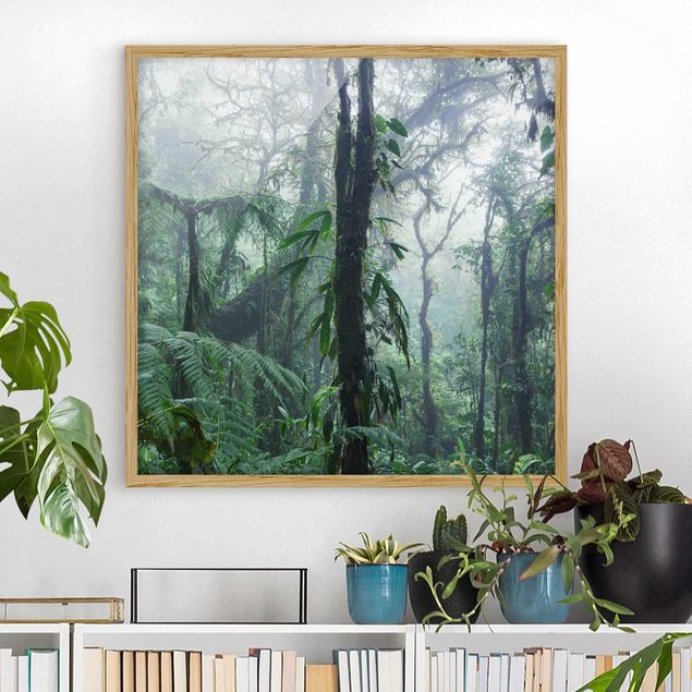 Gerahmte Bilder Natur Monteverde Nebelwald