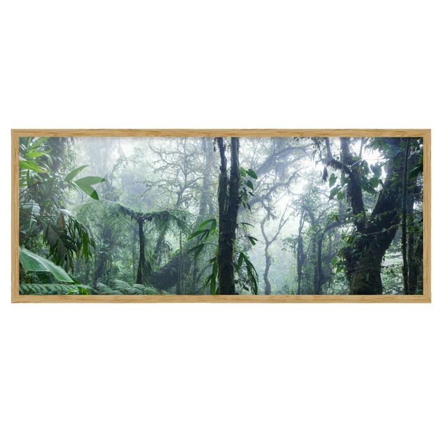 Bild mit Rahmen - Monteverde Nebelwald - Panorama 3:1