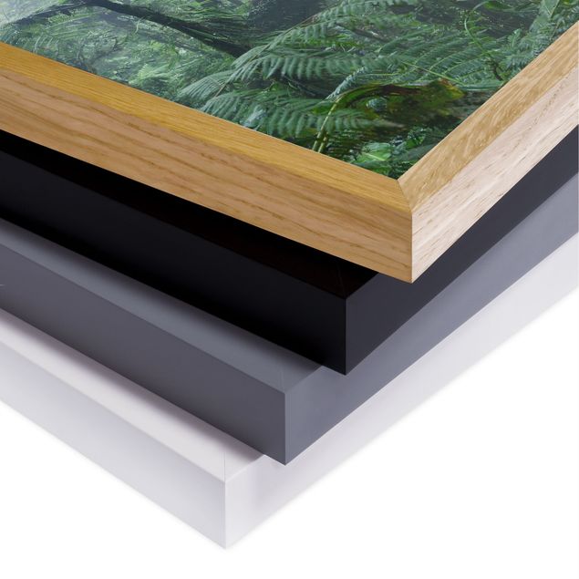 Bild mit Rahmen - Monteverde Nebelwald - Quadrat 1:1
