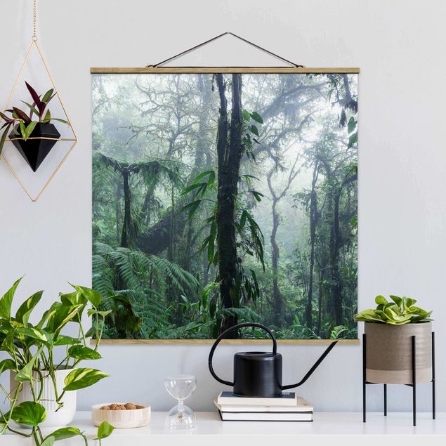 Bilder für die Wand Monteverde Nebelwald