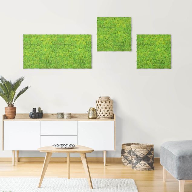 Bilder für die Wand Mooswand apfelgrün 52x52 cm