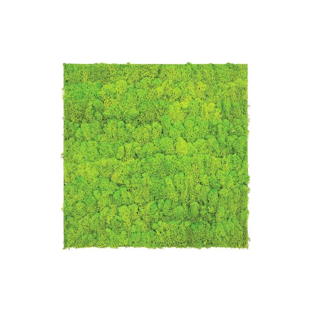 Akustikpaneel - Mooswand apfelgrün 52x52 cm