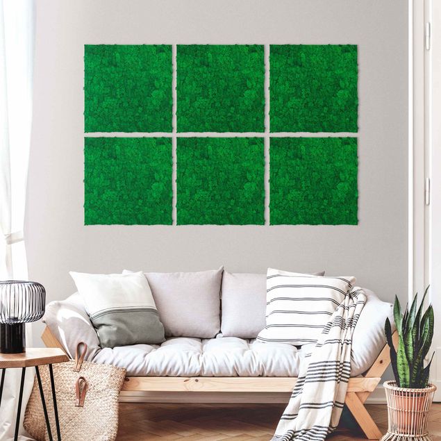 Wandbilder Mooswand fichtengrün 52x52 cm