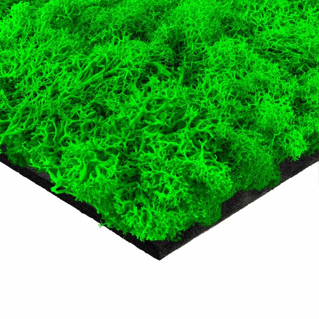 Akustikpaneel - Mooswand grasgrün 52x52 cm
