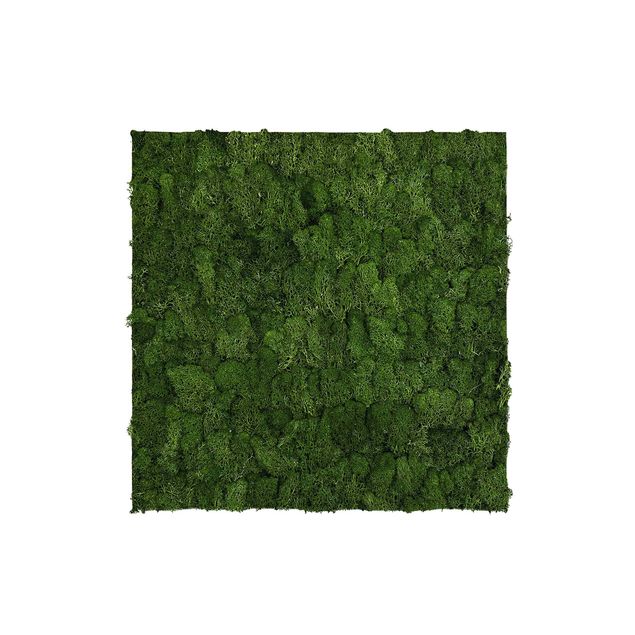 Akustikpaneel - Mooswand olivgrün 52x52 cm