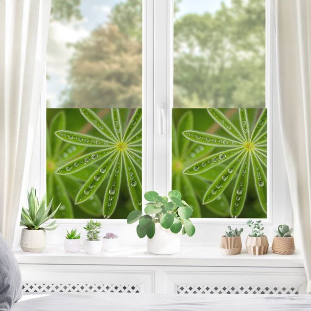 Fenstertattoo grün Morgentau auf Lupinenblättern
