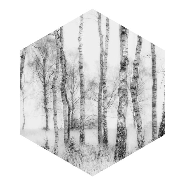 Schwarze Tapeten Mystischer Birkenwald Schwarz-Weiß
