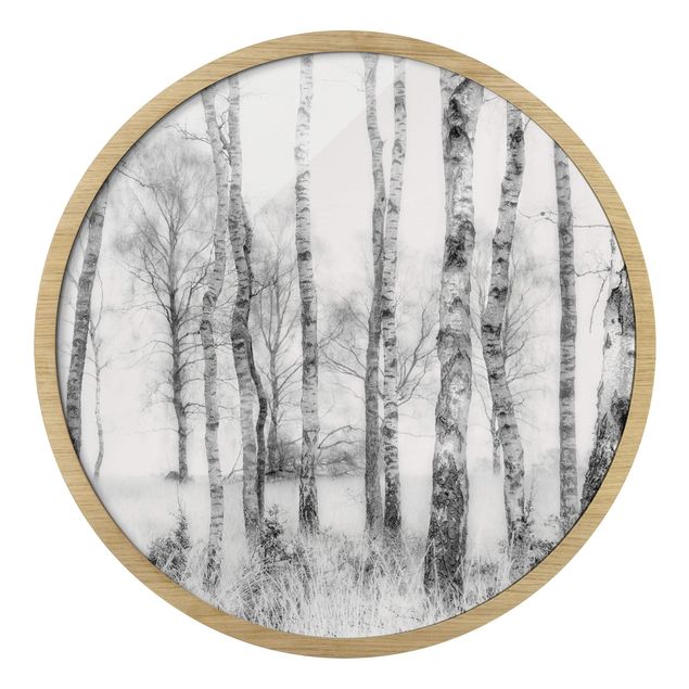 Gerahmte Bilder Mystischer Birkenwald Schwarz-Weiß