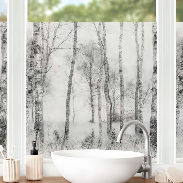 Fensterbilder Natur Mystischer Birkenwald Schwarz-Weiß