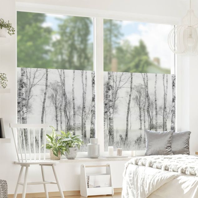 Fensterfolie Farbig Mystischer Birkenwald Schwarz-Weiß