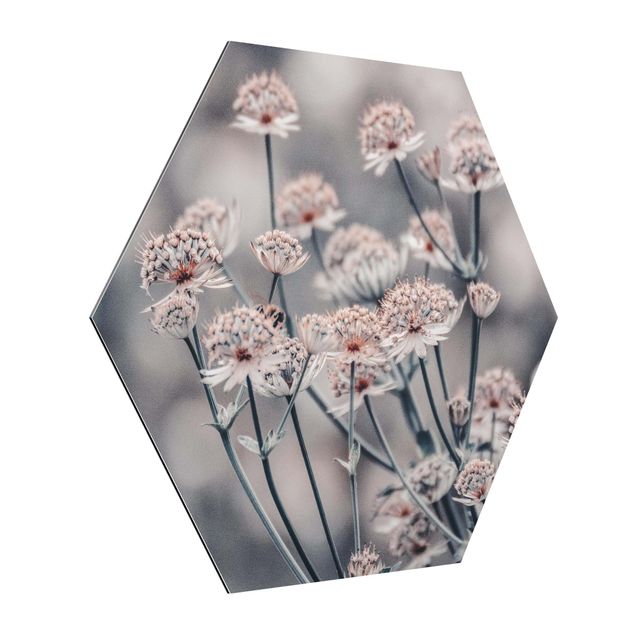 Hexagon Bild Alu-Dibond - Mystischer Blütenstrauch