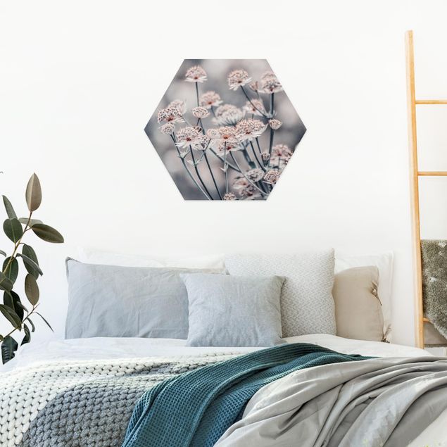Hexagon Bild Forex - Mystischer Blütenstrauch
