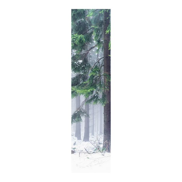 Schiebegardinen mit Motiv 3-teilig Nadelbäume im Winter
