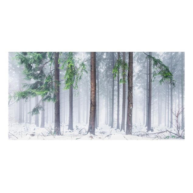 Wandbilder Nadelbäume im Winter