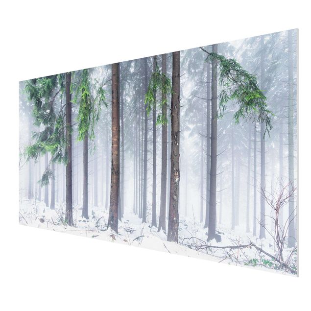 Forex Fine Art Print - Nadelbäume im Winter - Querformat 2:1
