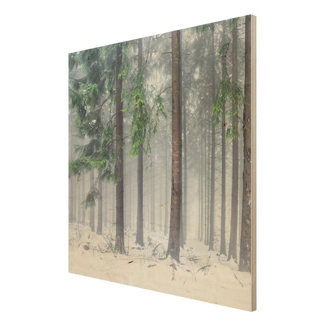 Moderne Holzbilder Nadelbäume im Winter