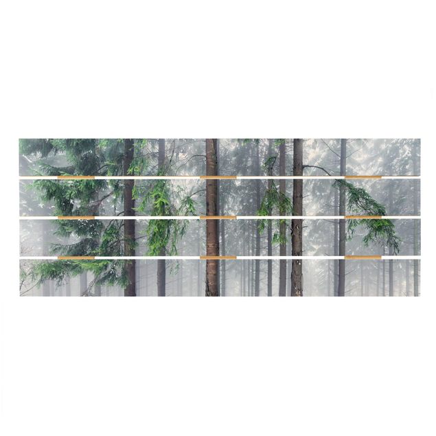 Holzbilder Nadelbäume im Winter